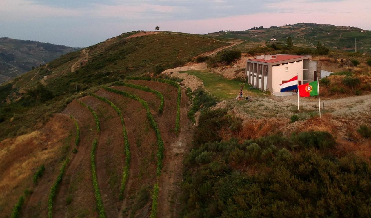 Stay At The Winemaker Ervedosa do Douro Exterior foto