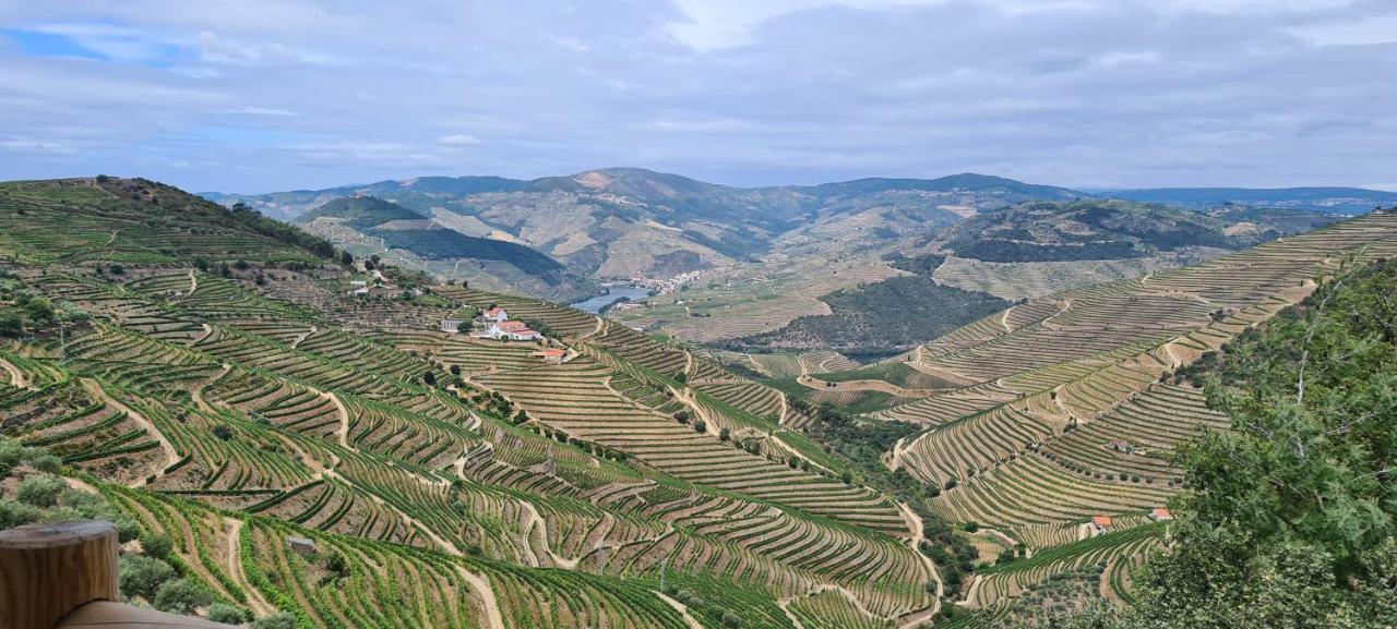 Stay At The Winemaker Ervedosa do Douro Exterior foto