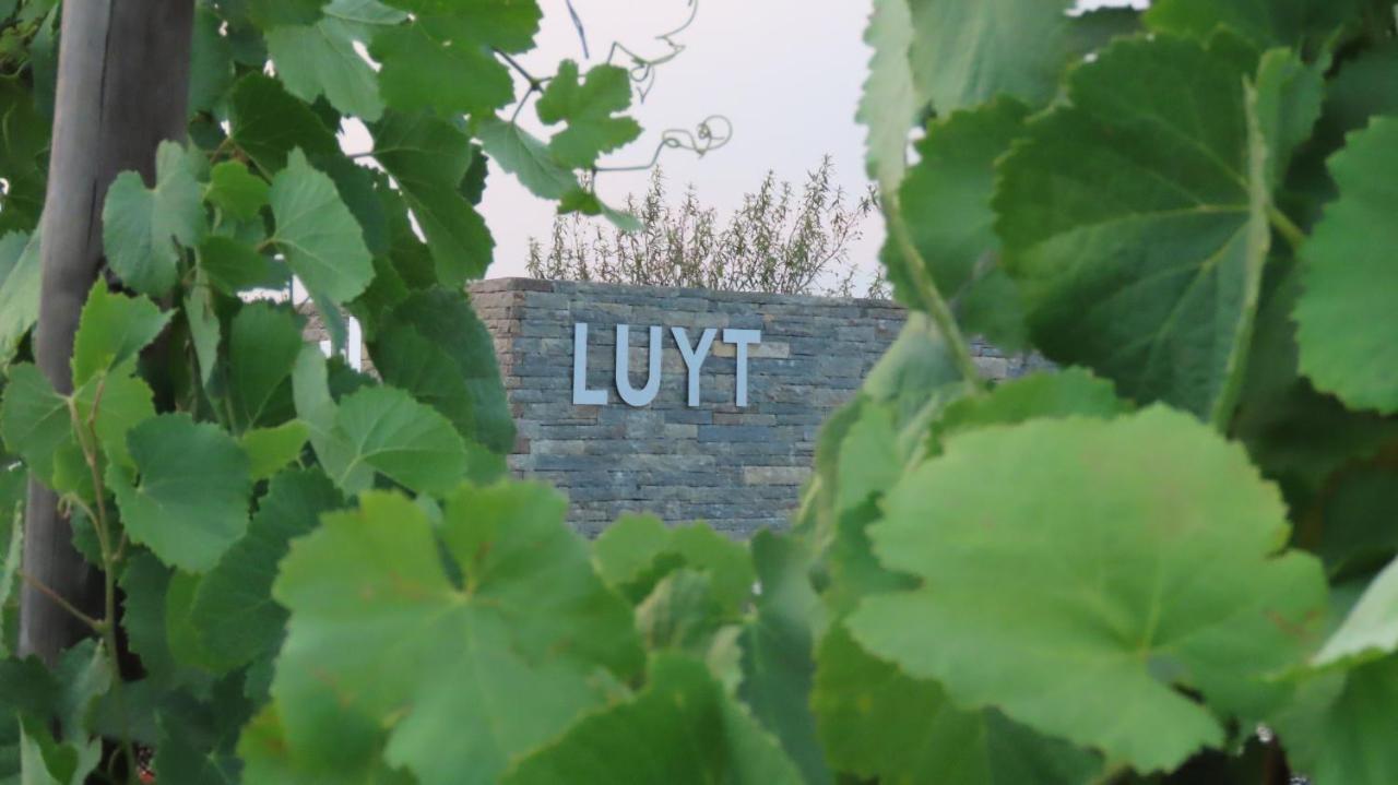 Stay At The Winemaker Ervedosa do Douro Exterior foto